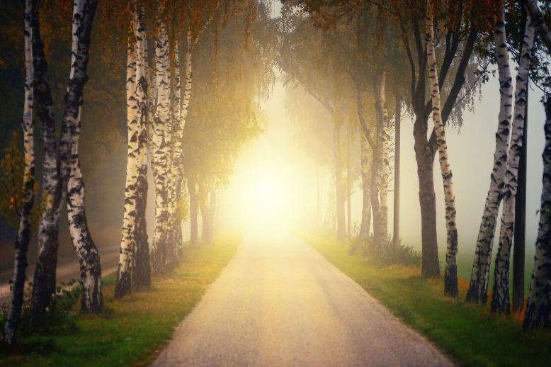 Restaurer notre relation – vers des chemins nouveaux